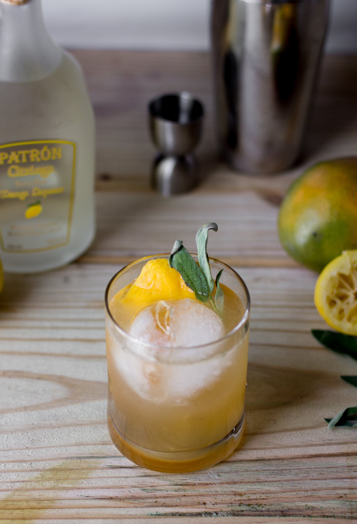 patron, patron tequila, patron margarita of the year, patron margarita, mango margarita