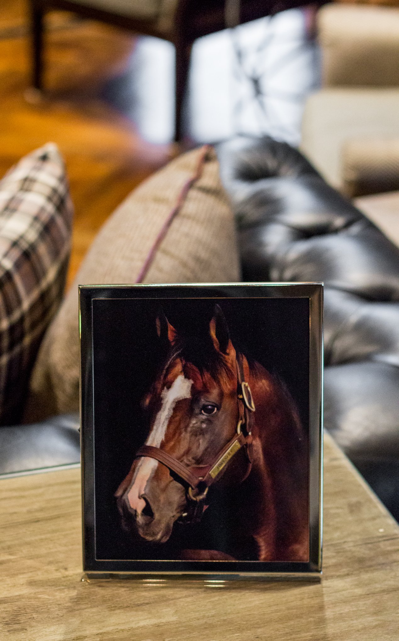 the campbell house, curio collection, hilton hotels, #sharethelex, the kentucky gent