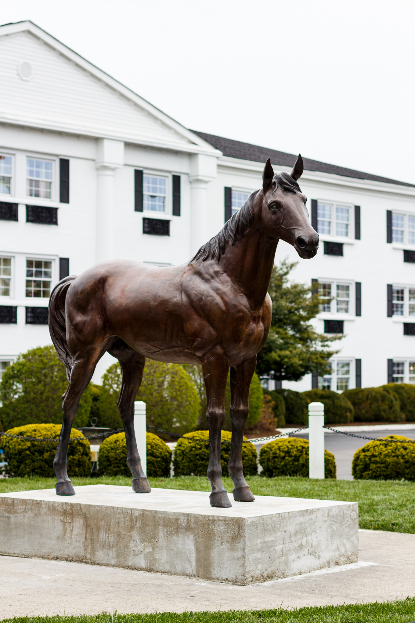 the campbell house, curio collection, hilton hotels, #sharethelex, the kentucky gent