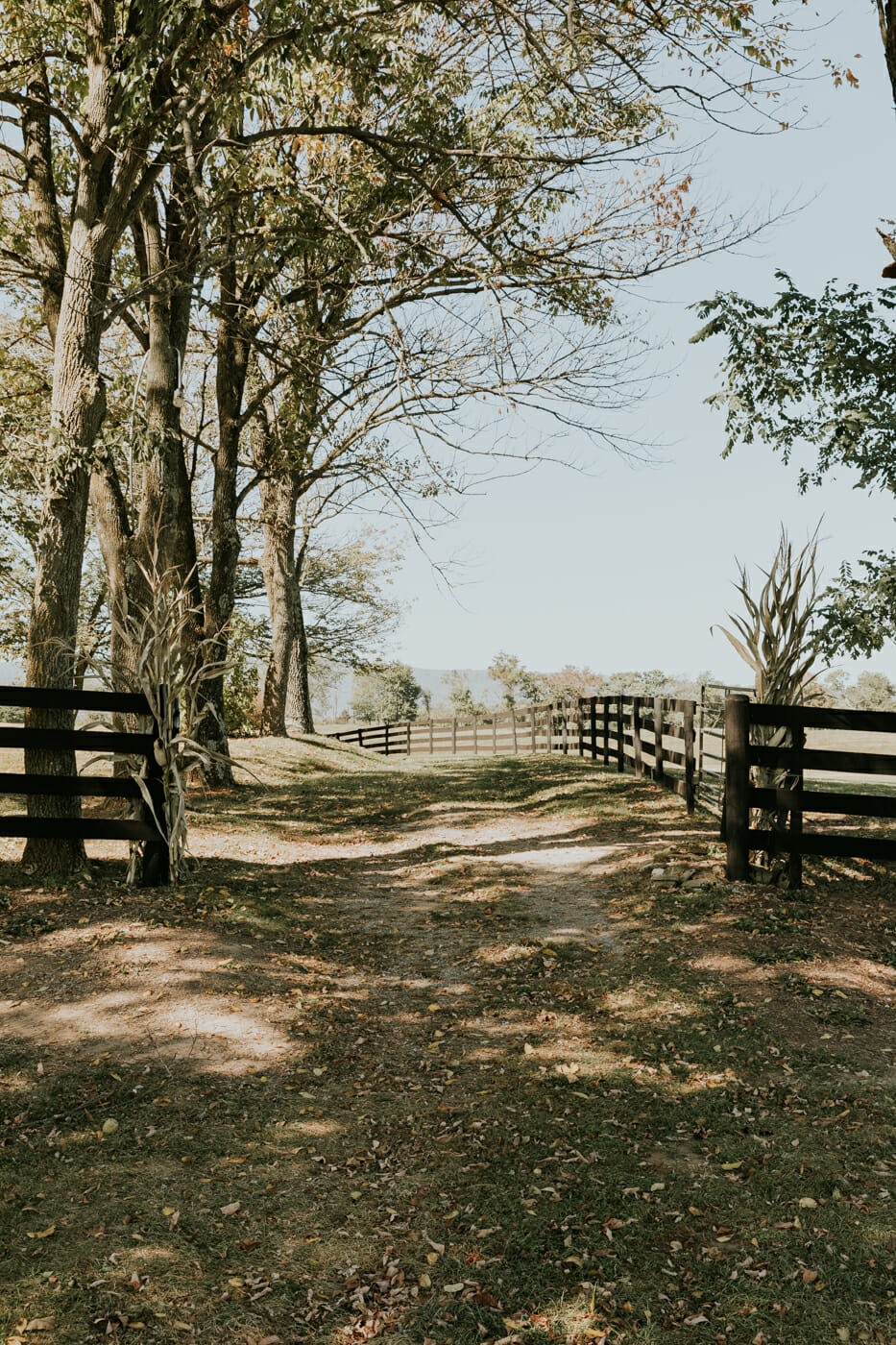 Marriott Ranch in Hume, Virginia