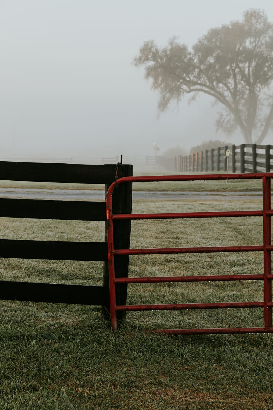 Marriott Ranch in Hume, Virginia