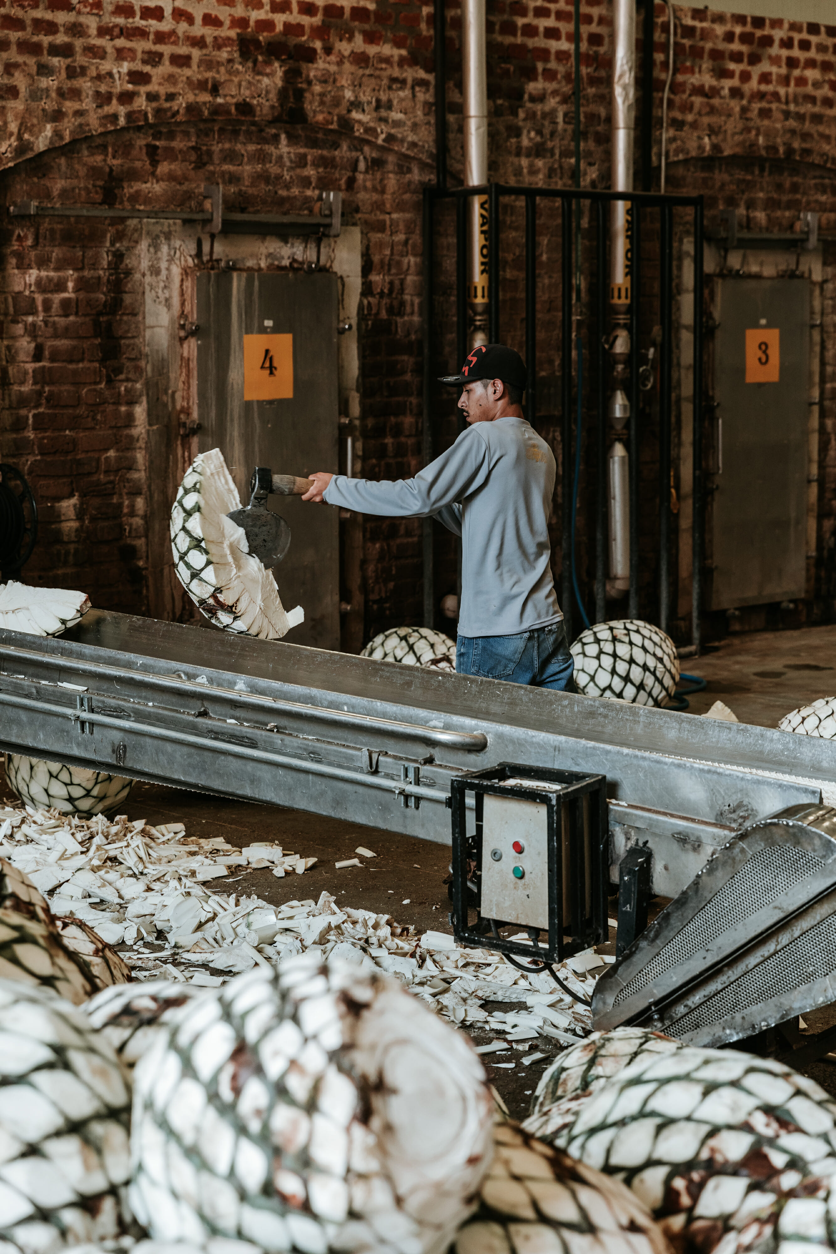 man putting agave on assembly line