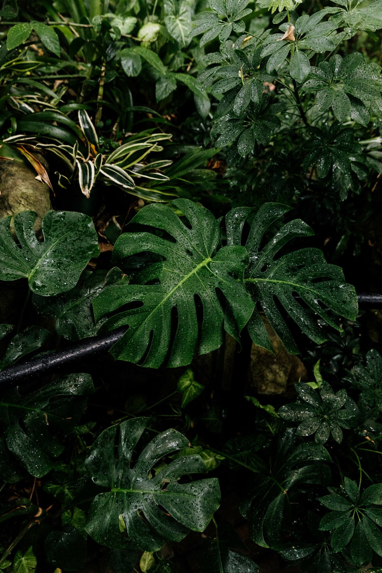 Franklin Park Conservatory and Botanical Gardens